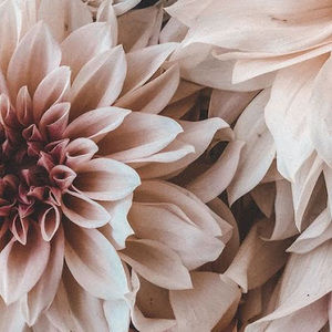 Meet your Posher, Aimee